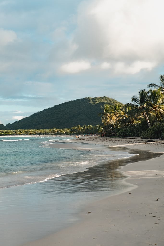 Beautiful tropical beach in Culebra, Puerto Rico with palm trees and calm sea under a cloudy sky.
