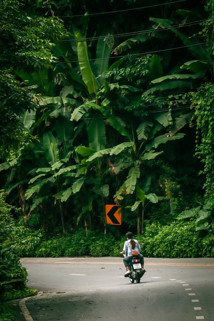 A person rides a scooter on a winding road surrounded by tropical foliage, creating a sense of adventure.