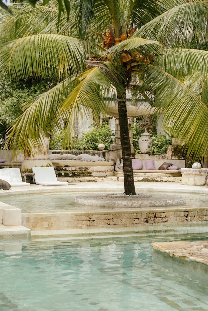 A serene tropical poolside area featuring a prominent palm tree, ideal for relaxation and leisure.
