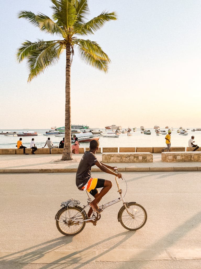 A young man rides a bicycle along a sunny promenade lined with palm trees and boats, creating a tropical urban vibe.