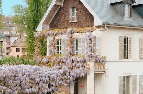 Charming house with wisteria in bloom beside a canal, showcasing classic French architecture.