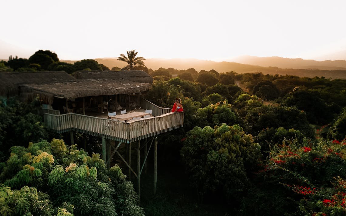 Explore a tranquil treehouse retreat surrounded by lush greenery at sunset, ideal for a relaxing getaway.