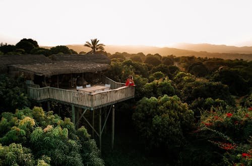 Explore a tranquil treehouse retreat surrounded by lush greenery at sunset, ideal for a relaxing getaway.