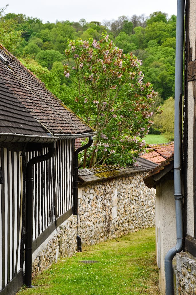Rustic stone and wood houses in Normandy, France surrounded by lush greenery, perfect for travel inspiration.