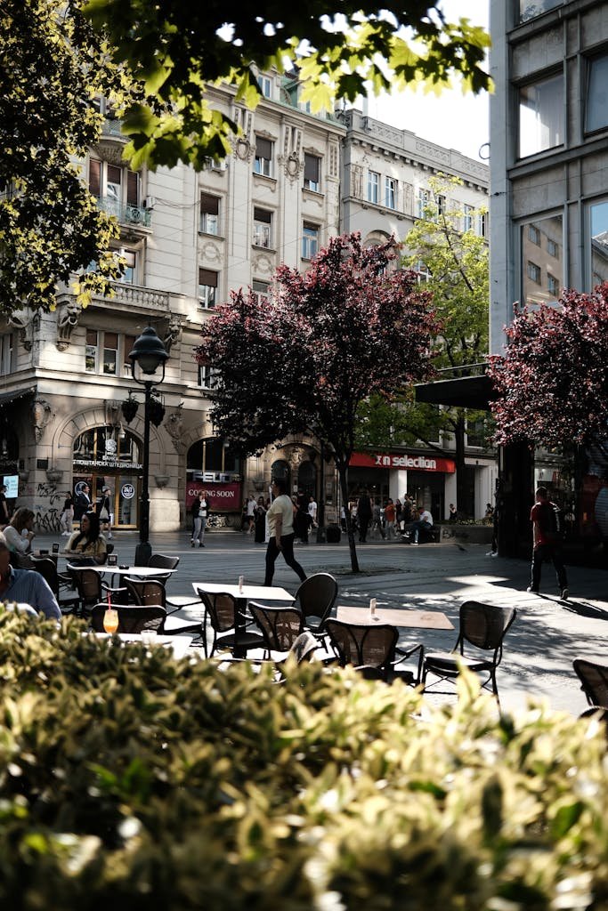 Sunny urban street view in Belgrade, Serbia showcasing outdoor cafés and classic architecture.