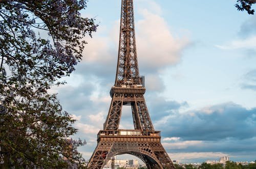 The iconic Eiffel Tower seen through blooming trees on a lovely spring day in Paris.