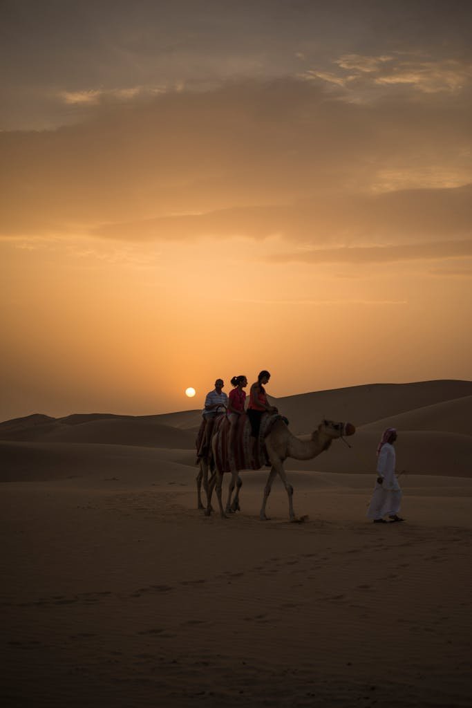 Tourists enjoy a camel ride on the sand dunes during a beautiful sunset in Abu Dhabi's desert.