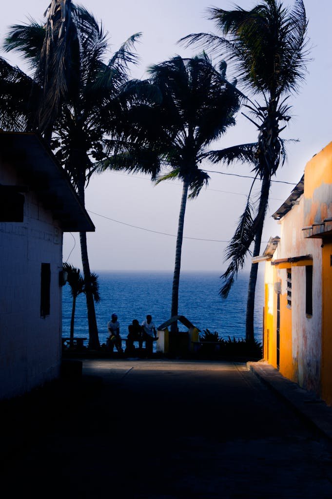 Tropical evening scene with palm trees silhouetted against the ocean at sunset.