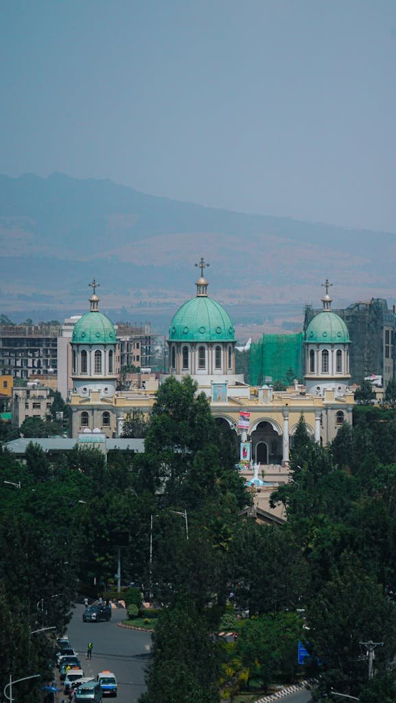 View of Medhane Alem Cathedral surrounded by trees and city buildings in Addis Ababa.
