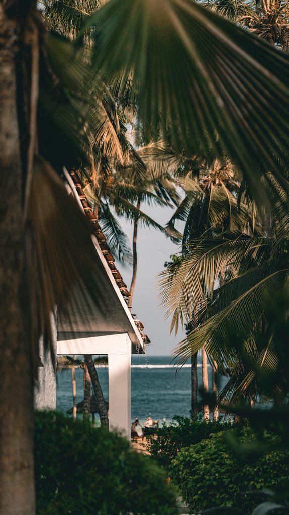 Peaceful view of blue sea framed by lush tropical palm trees and bungalow.